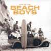 The Beach Boys (1985)