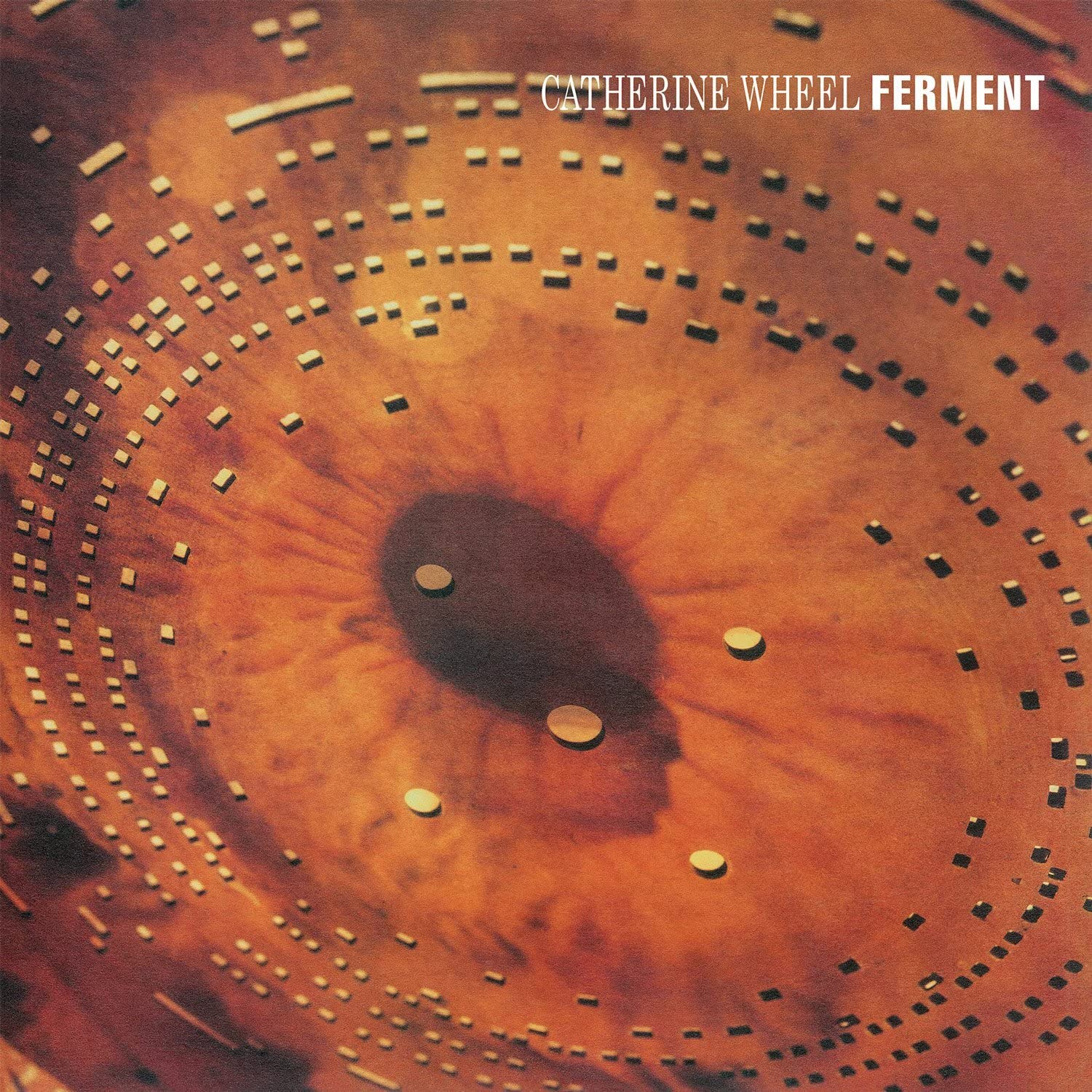 Ferment